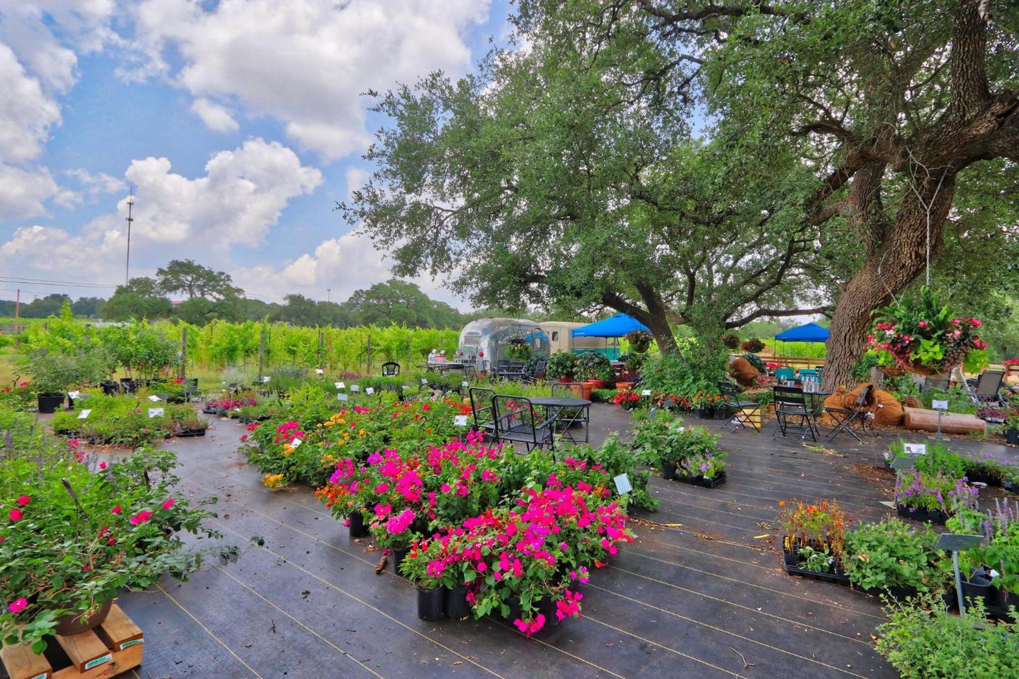 Fall Creek Vineyards Wine Country Inn Dripping Springs Kültér fotó